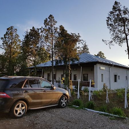 Conacul Balta Alba Hotel Bagian luar foto