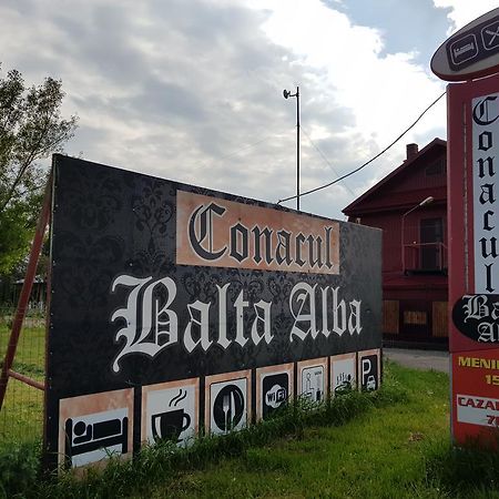 Conacul Balta Alba Hotel Bagian luar foto